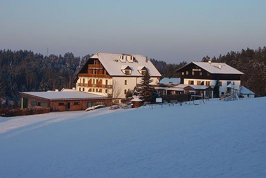 Hotel Schwarz Alm Zwettl Eksteriør billede